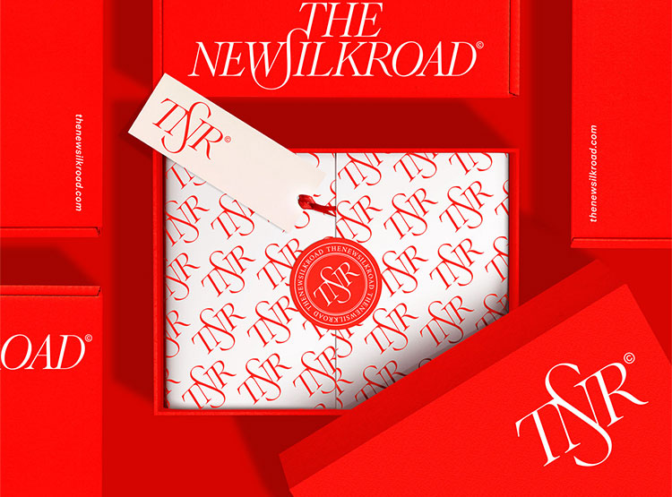 The New Silk Road貿(mào)易公司品牌VI設(shè)計